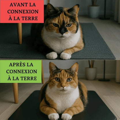 avant / après l'utilisation d'un tapis de mise à la terre 